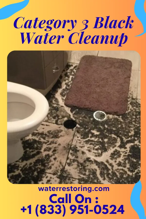 Category 3 Black Water Cleanup in Tano Road, NM