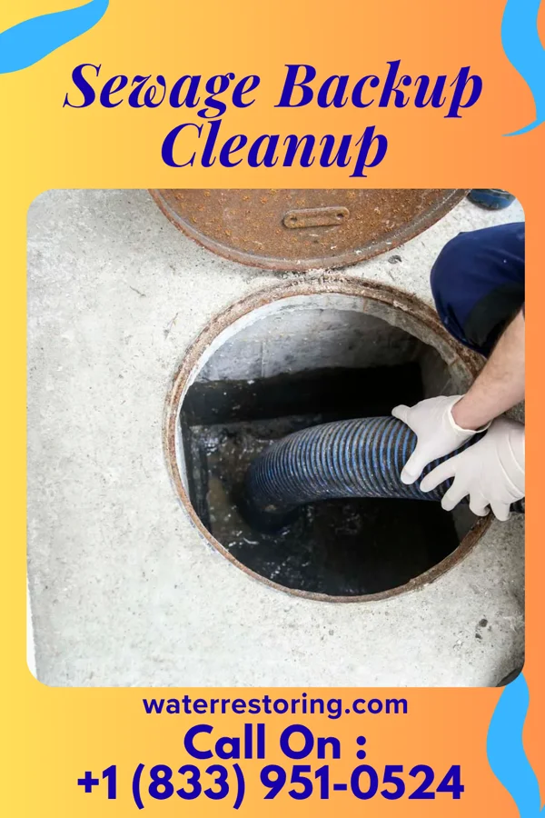 Sewage Backup Cleanup in Tano Road, NM